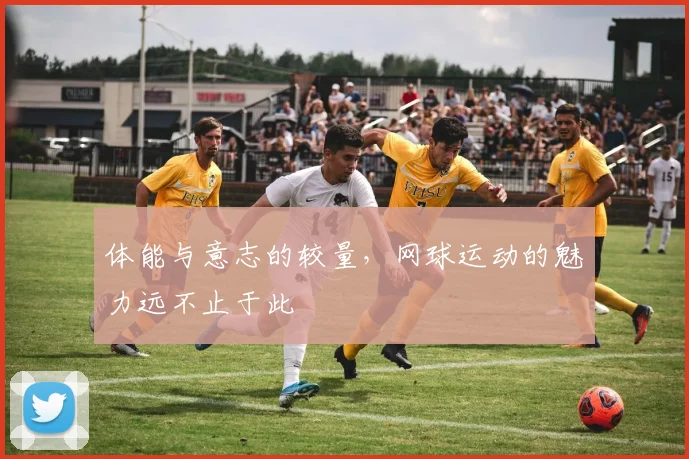 体能与意志的较量,网球运动的魅力远不止于此