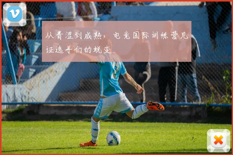 从青涩到成熟,电竞国际训练营见证选手们的蜕变